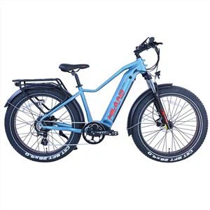 Utforsk Electric Fat Bike