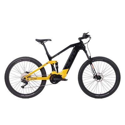 10 Speed ​​Lithium Battery Suspension Mountain E-bike