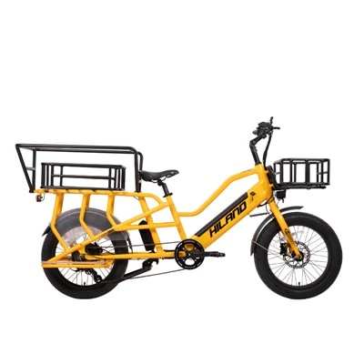 48v 500w Drop Shipping Family Wagon Europeisk lager på lager lastesykler